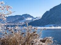 Eis und Schilf am Walchsee Ufer mit Schnappen Gipfel dahinter